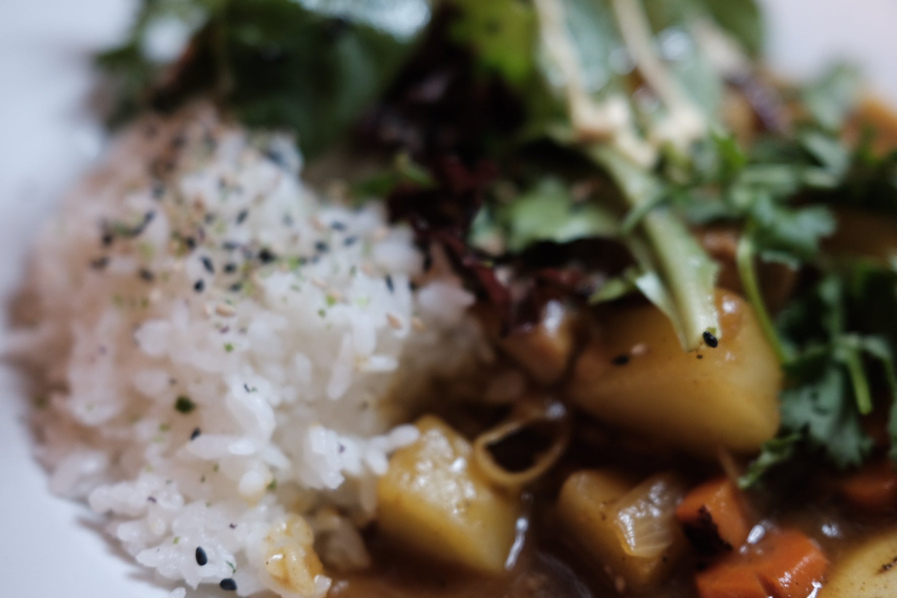 Japanese Curry
