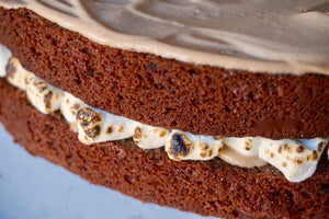 Chocolate Birthday Cake w/ Toasted Marshmallows