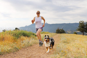 Tips for Exercising with Your Pet