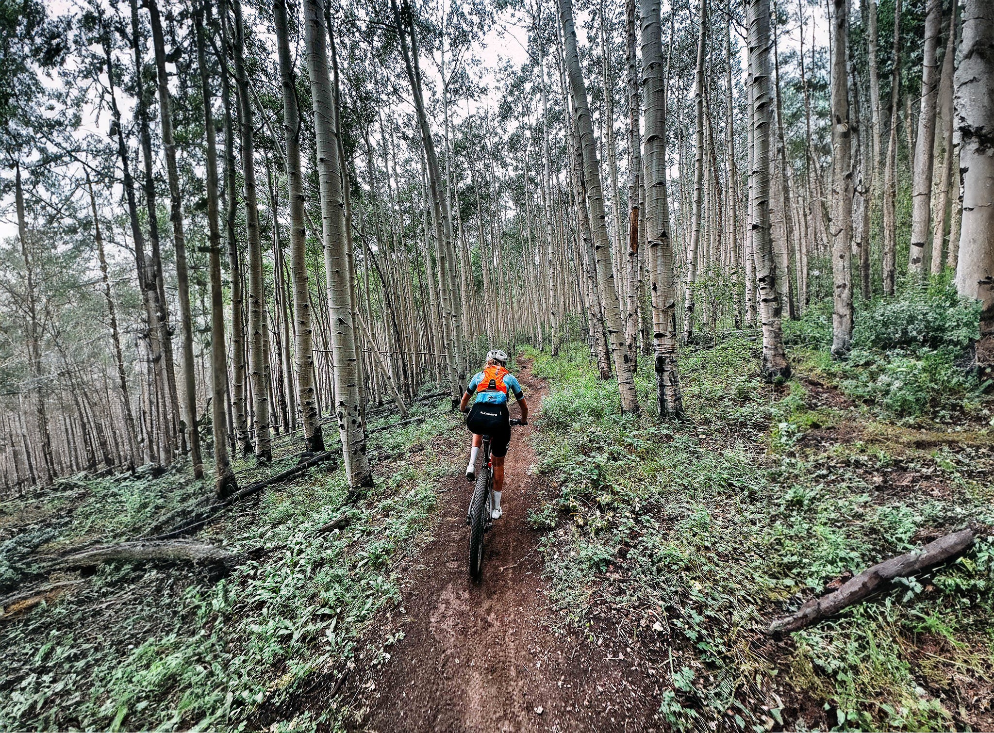 Leadville 100 Bike Course Nutrition Tips from Dr. Lim