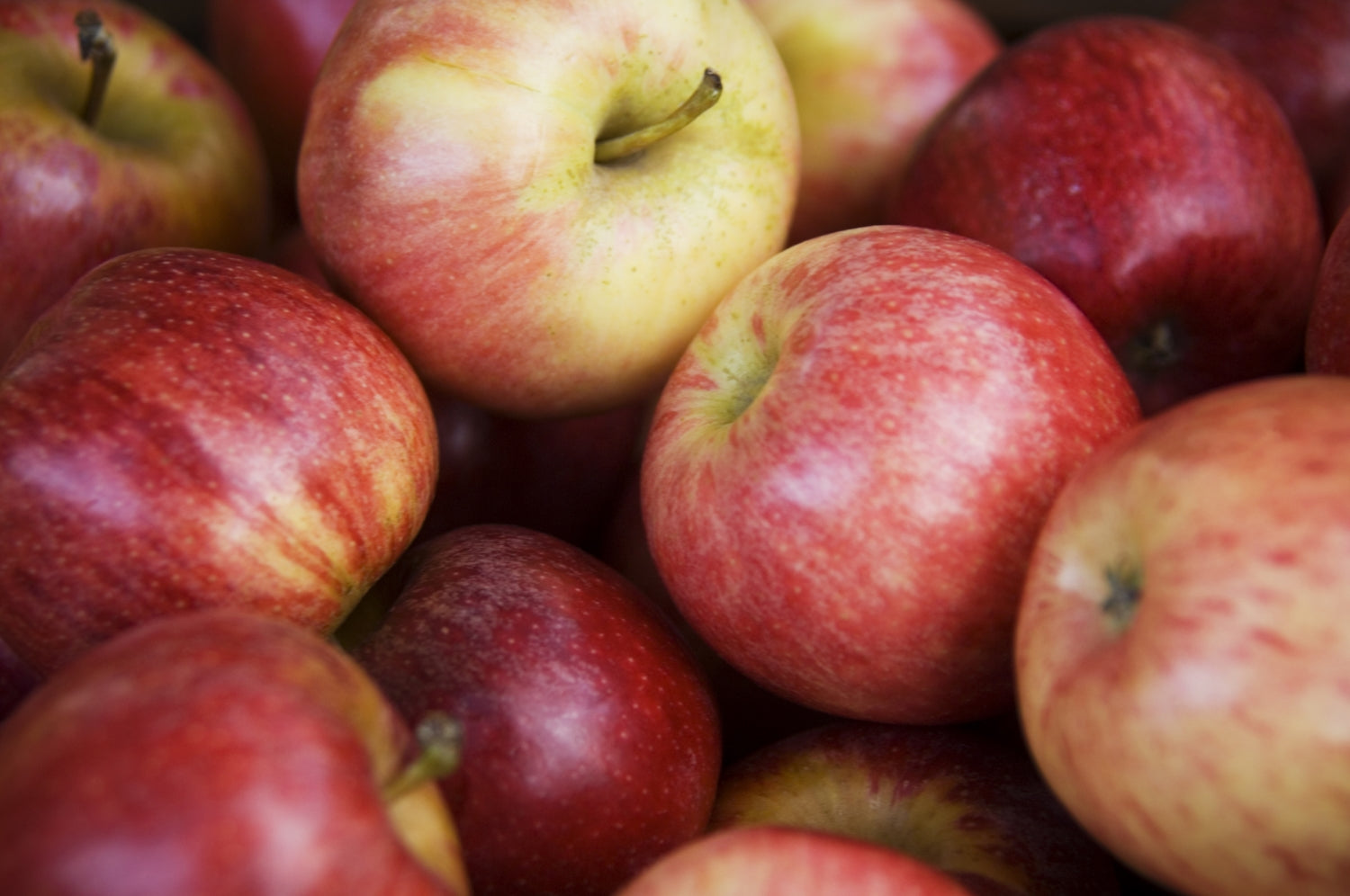 Cinnamon Apple Rice Cakes