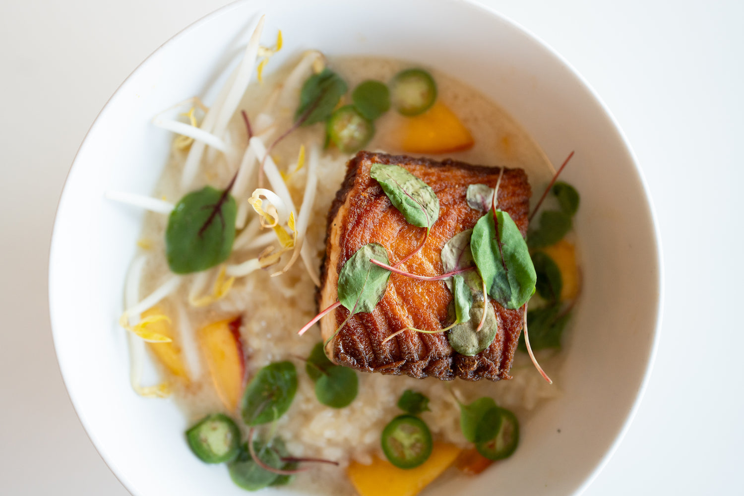 1245 Alpine Ave, Boulder, CO 80304