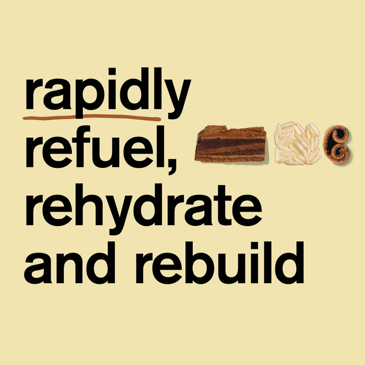 Recovery Sport Drink Mix - Resealable Bag - 12 Serving, Horchata